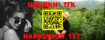 гидра Новодвинск
