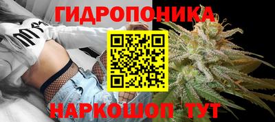 гидра Новодвинск
