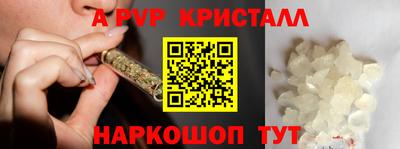 гидра Новодвинск