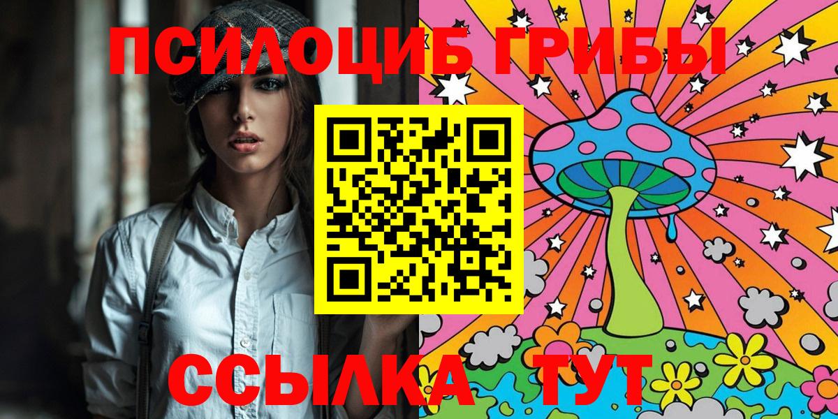 Галлюциногенные грибы Psilocybe Стрежевой