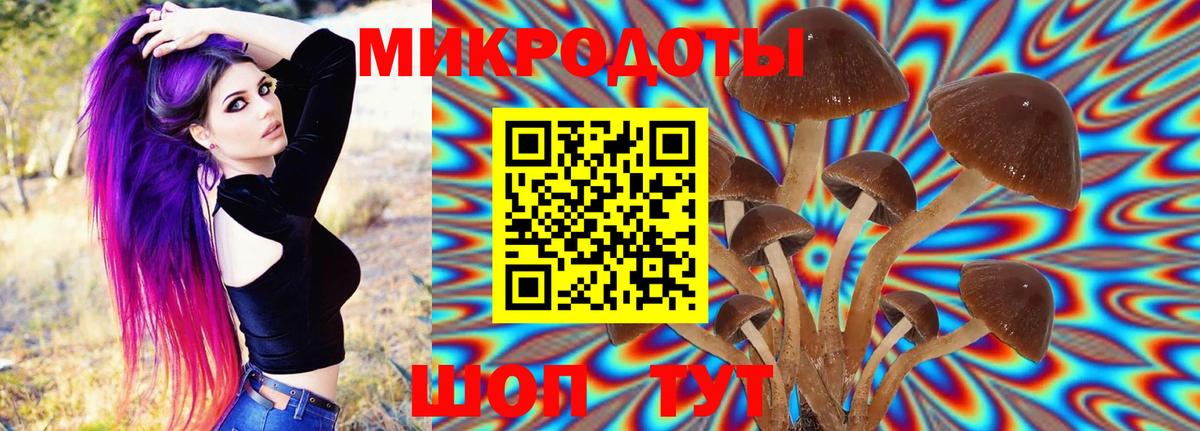 Галлюциногенные грибы ЛСД  Вход с VPN  как найти наркотики  Стрежевой 